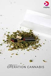 Operation cannabis
